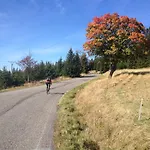 Апартаменты Erzgebirgsferien Ольбернхау