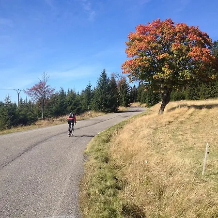 아파트 Erzgebirgsferien 올번하우