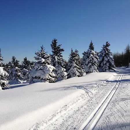 Erzgebirgsferien 아파트 *