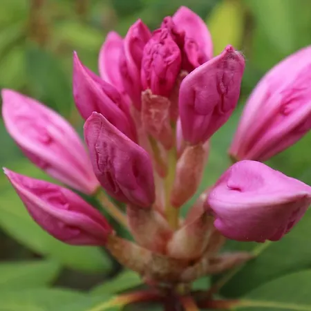 Erzgebirgsferien 公寓 奥尔贝尔恩豪